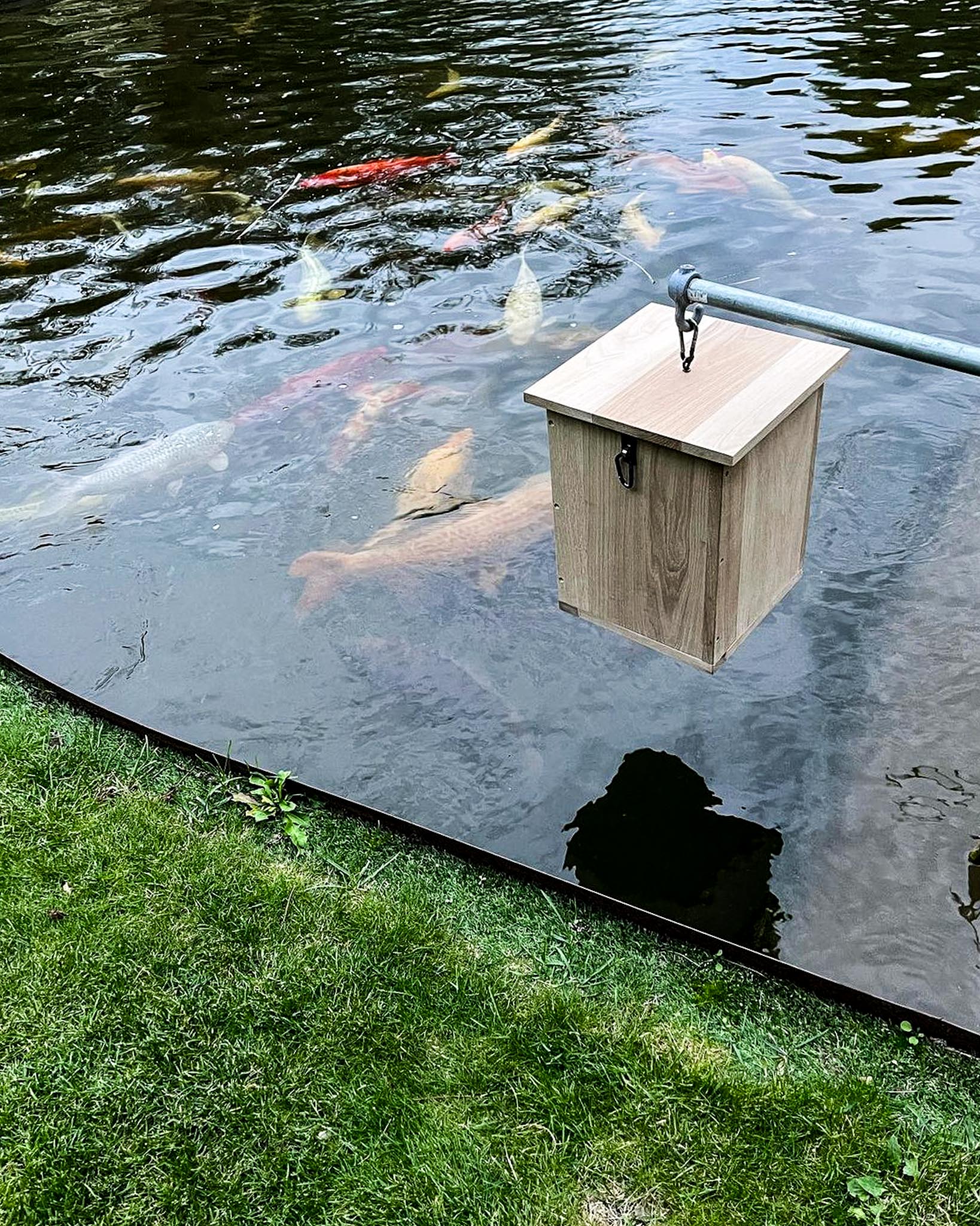 Automatisch karper voerder